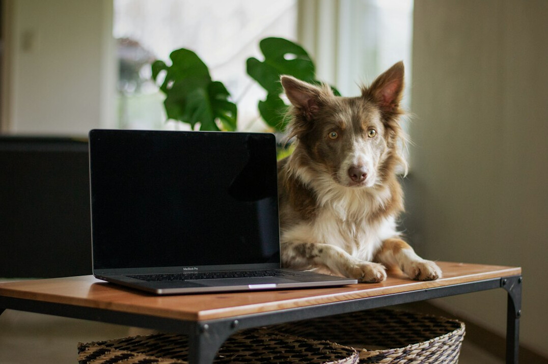Laptop and notebook on a desk with business analytics on the screen